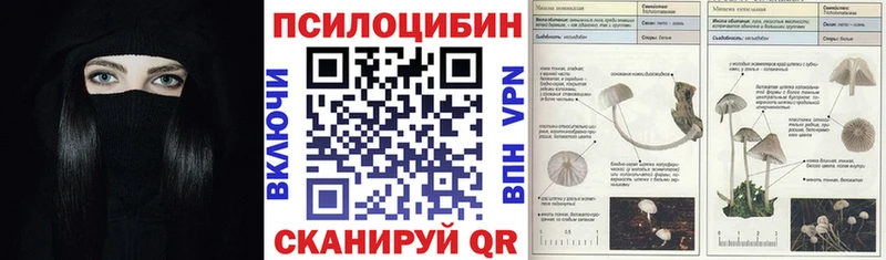 Псилоцибиновые грибы Psilocybe  Волчанск 